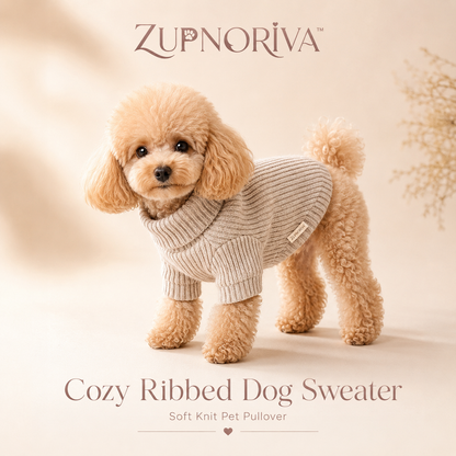 ZUPNORIVA™ Cozy Ribbed Dog Sweater – Soft Knit Pet Pullover, Warm Puppy Clothes, Small & Medium Dog Winter Apparel