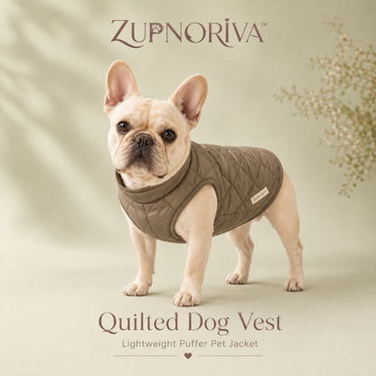 ZUPNORIVA™ Quilted Dog Vest – Lightweight Puffer Pet Jacket, Wind-Resistant Puppy Coat, Outdoor Dog Apparel